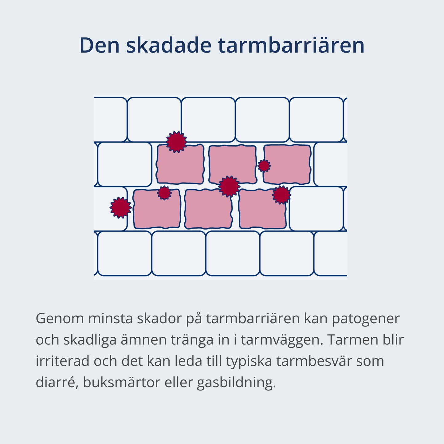 Skadad tarmbarriär i tecknad stil