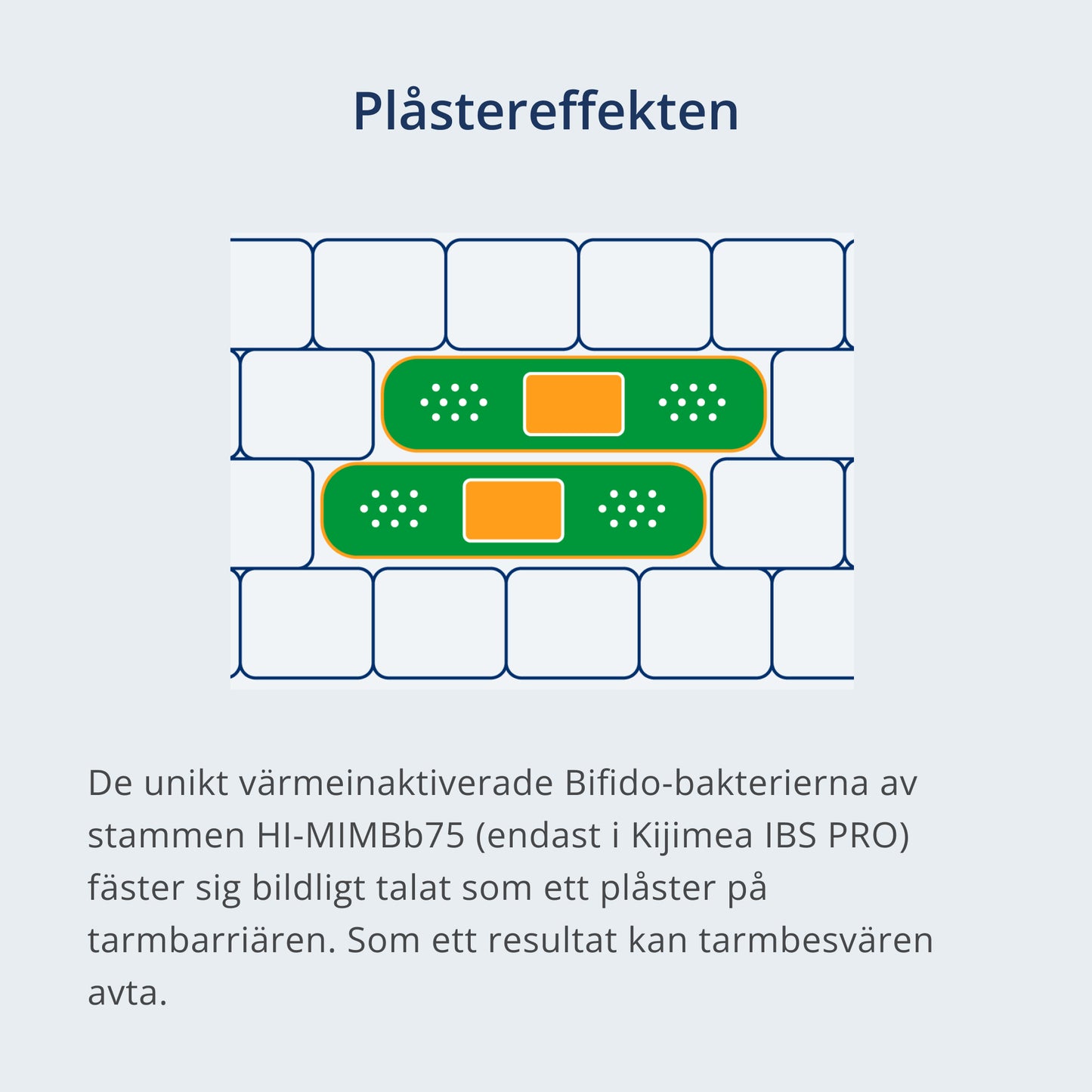 Ett plåster som fäster vid tarmbarriären i tecknad stil