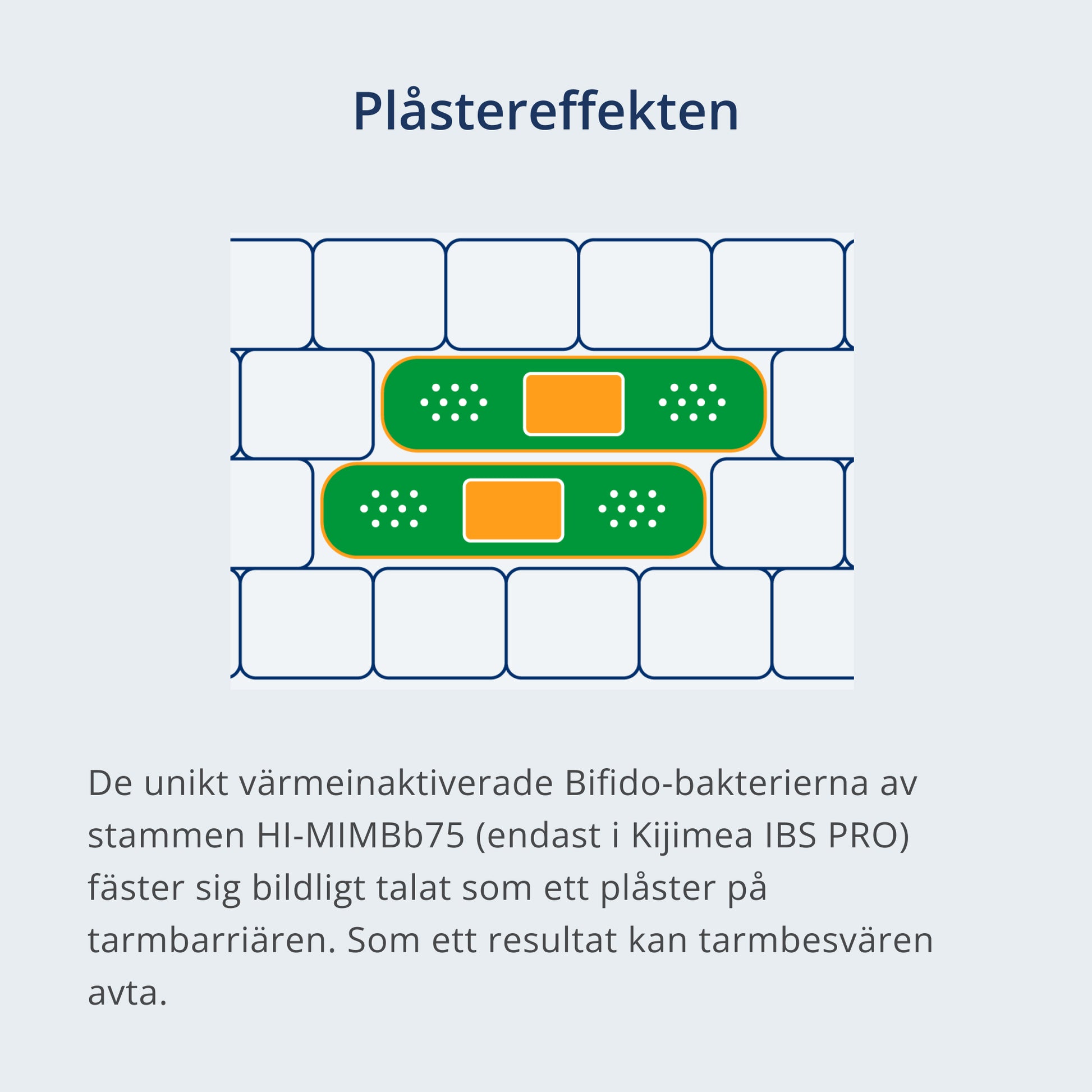 Ett plåster som fäster vid tarmbarriären i tecknad stil